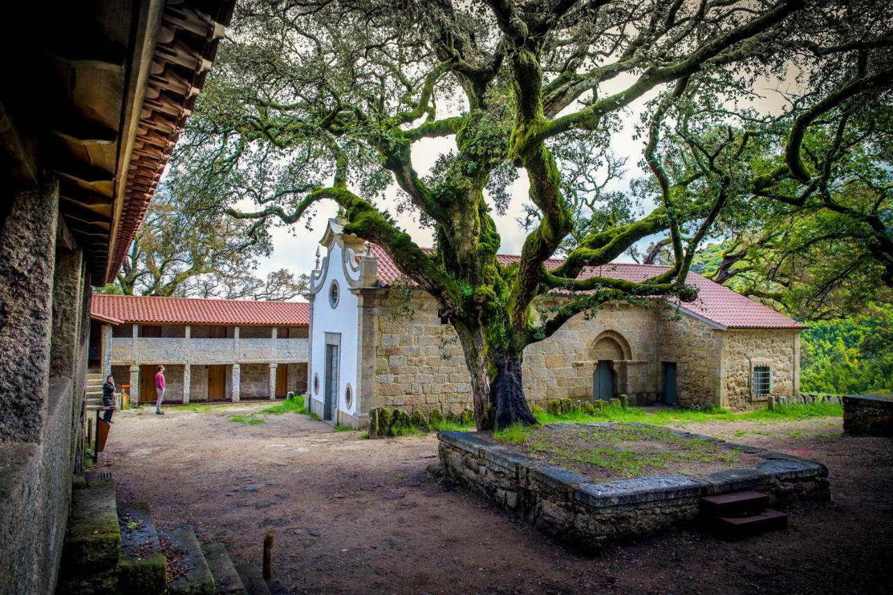 Casa Da Vila Cerveira Vila Nova de Cerveira Exteriér fotografie
